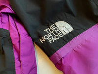 90s Vintage North Face MountainLight Grape